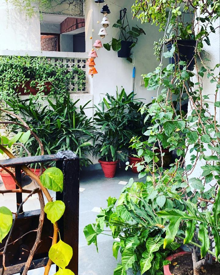 The Neem Bed and Breakfast New Delhi Eksteriør billede